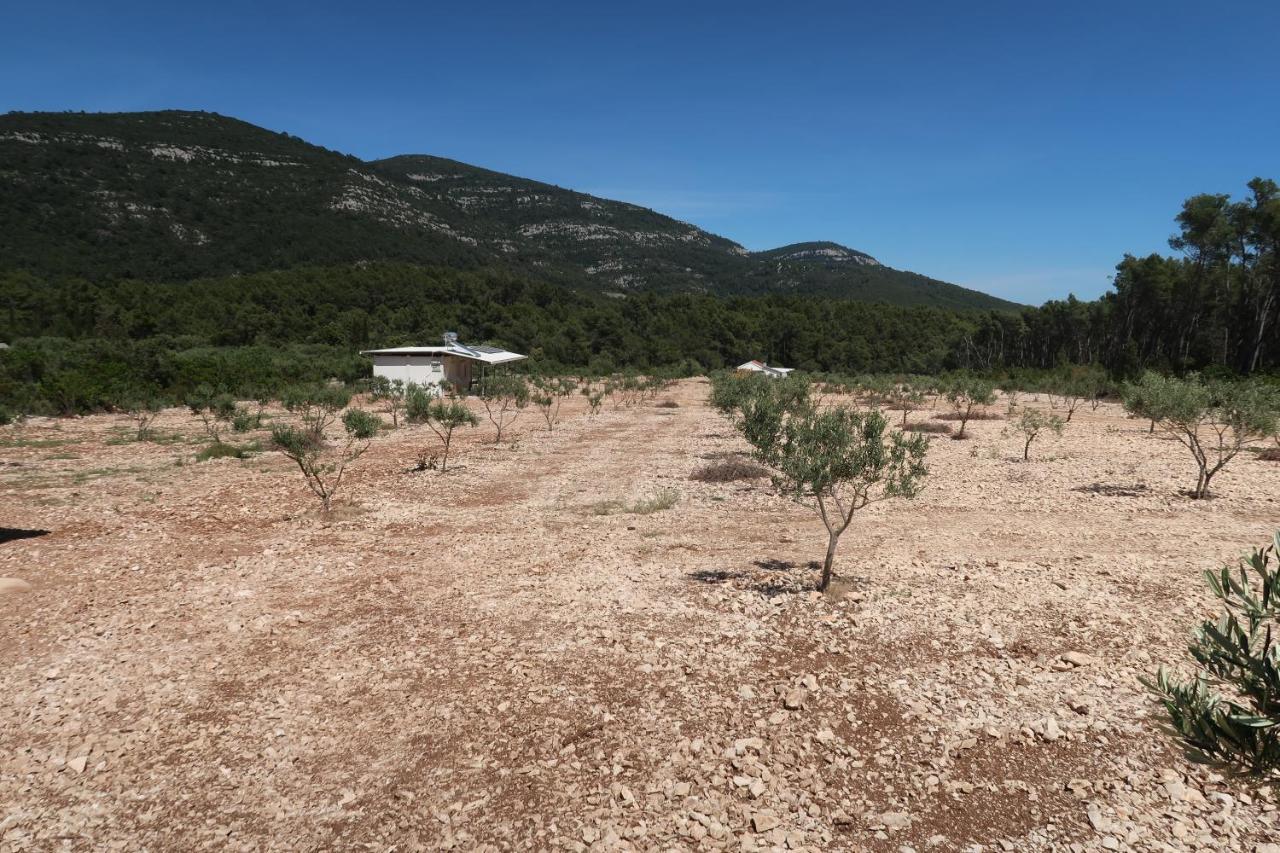 Robinson Olive Tree Huts Villa Čara Dış mekan fotoğraf